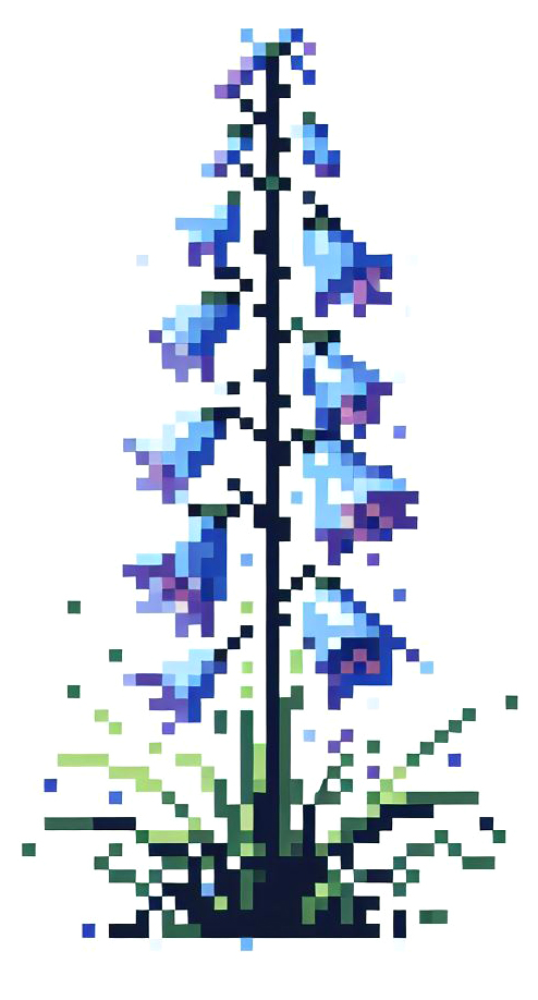bluebell, skin, beauty, بلوبل, زیبایی, پوست